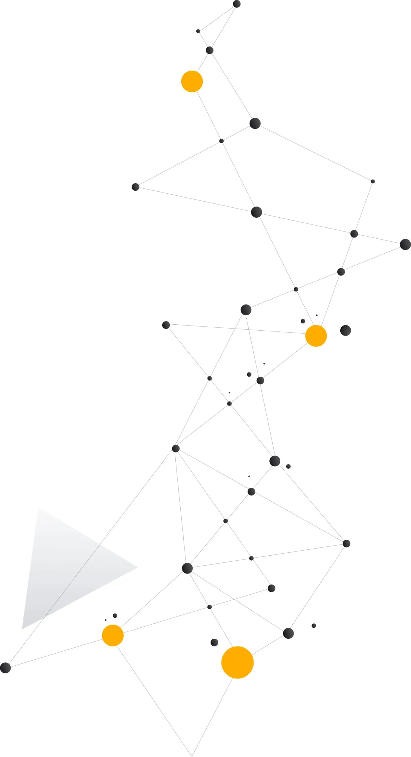 Kariéra v NetVoice